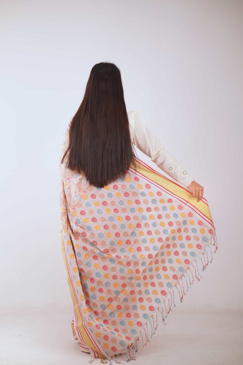 Peach Mist Dual Tone Meenakari Stain Silk Saree