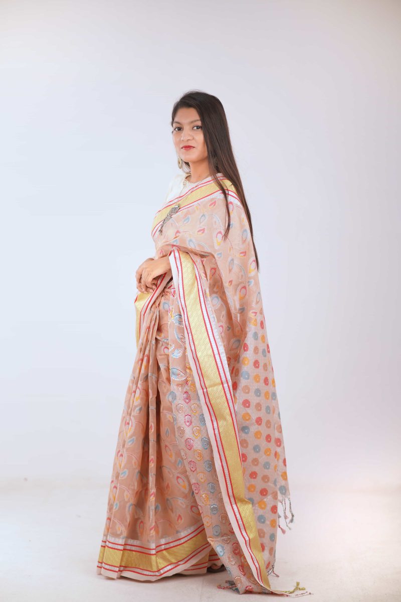Peach Mist Dual Tone Meenakari Stain Silk Saree